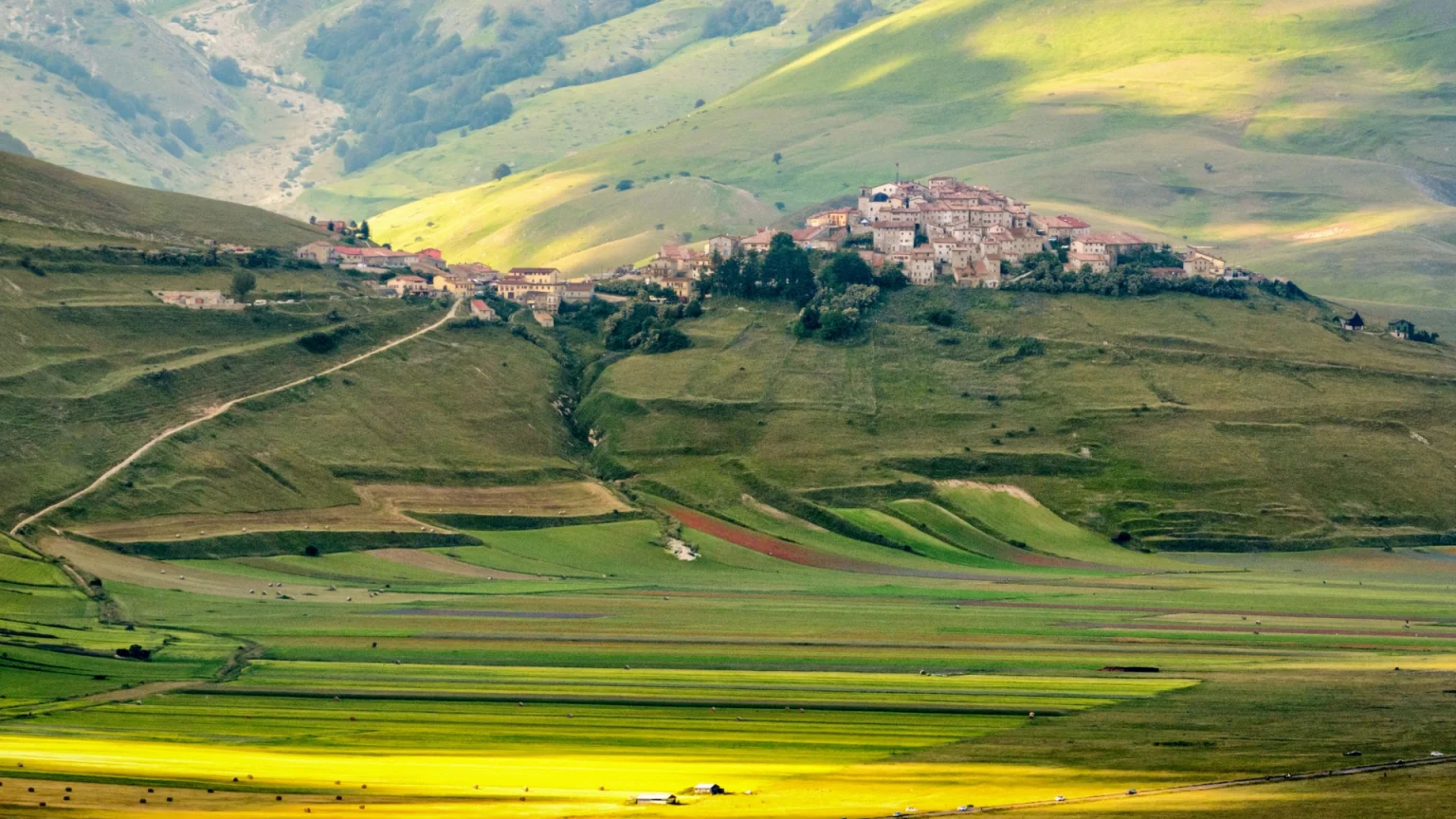 Cosa fare in Umbria: vedere la fioritura delle lenticchie a Castelluccio di Norcia