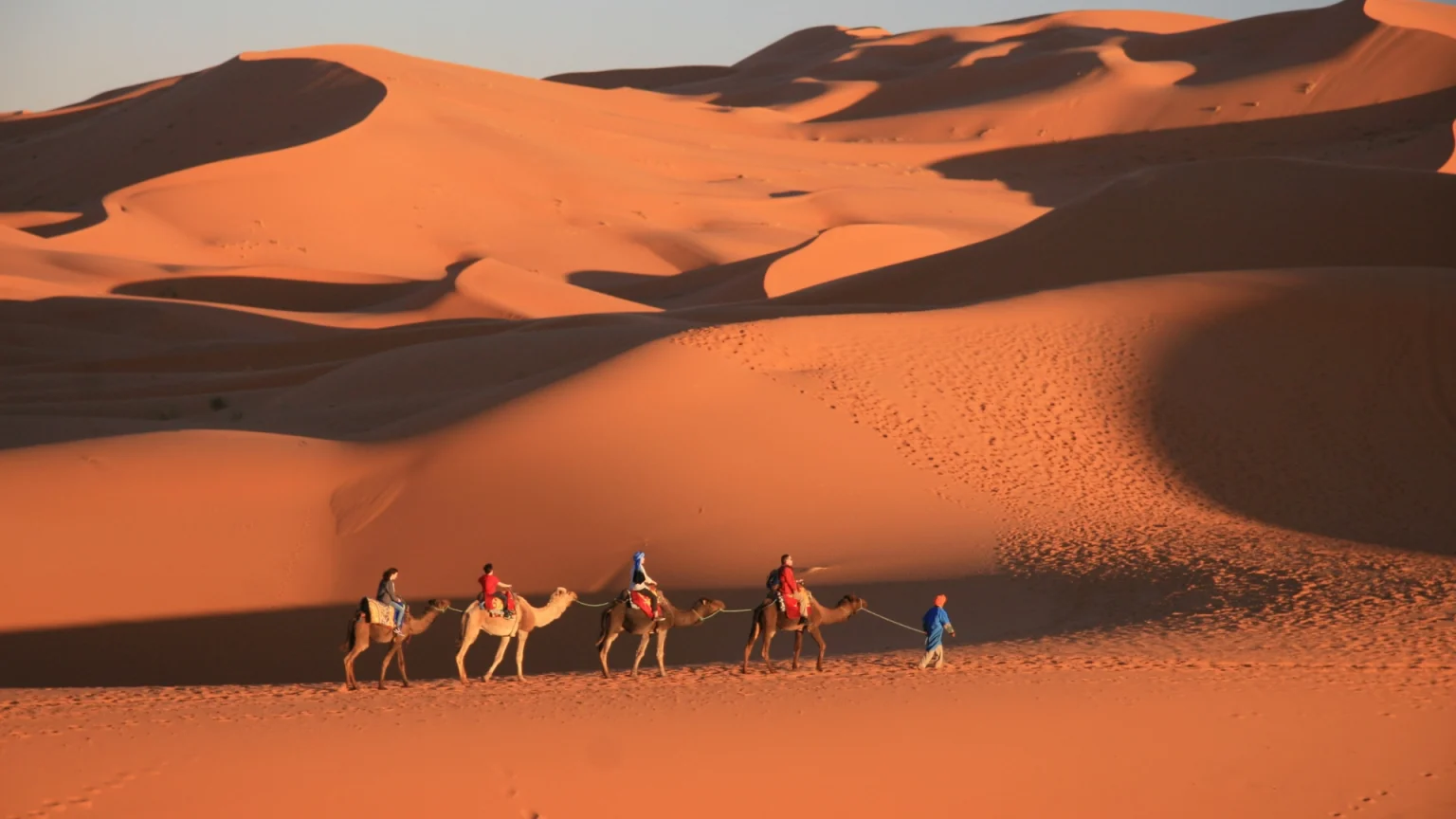 marocco deserto merzouga dune camello dromedario