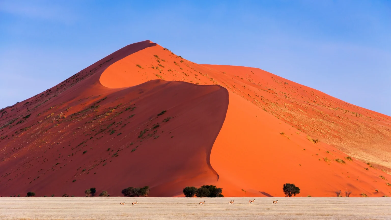 namibia deserto dune 45 naukluft
