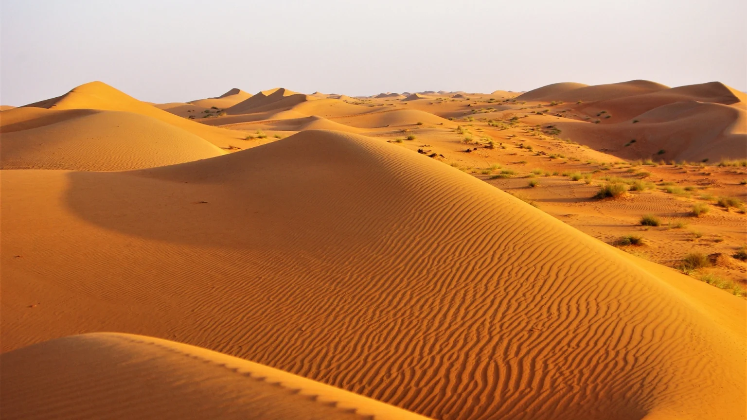 Cosa vedere in viaggio organizzato in Oman: deserto Sharqiya Sands - Ovet Viaggi